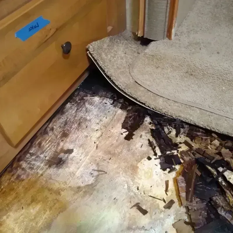 Best Wood Floor Water Damage Service in Roseland, FL